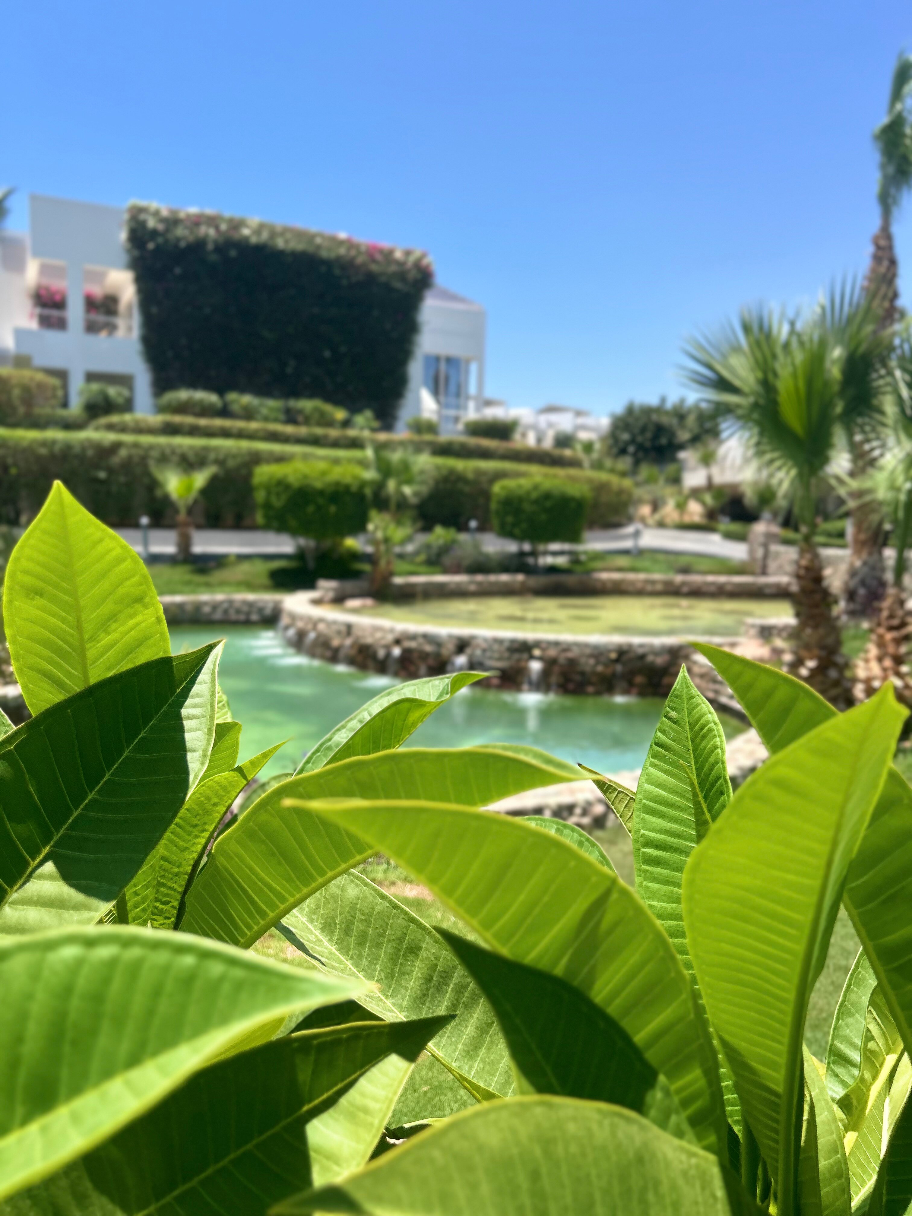 Фото Royal Monte Carlo Sharm El Sheikh - Adults only