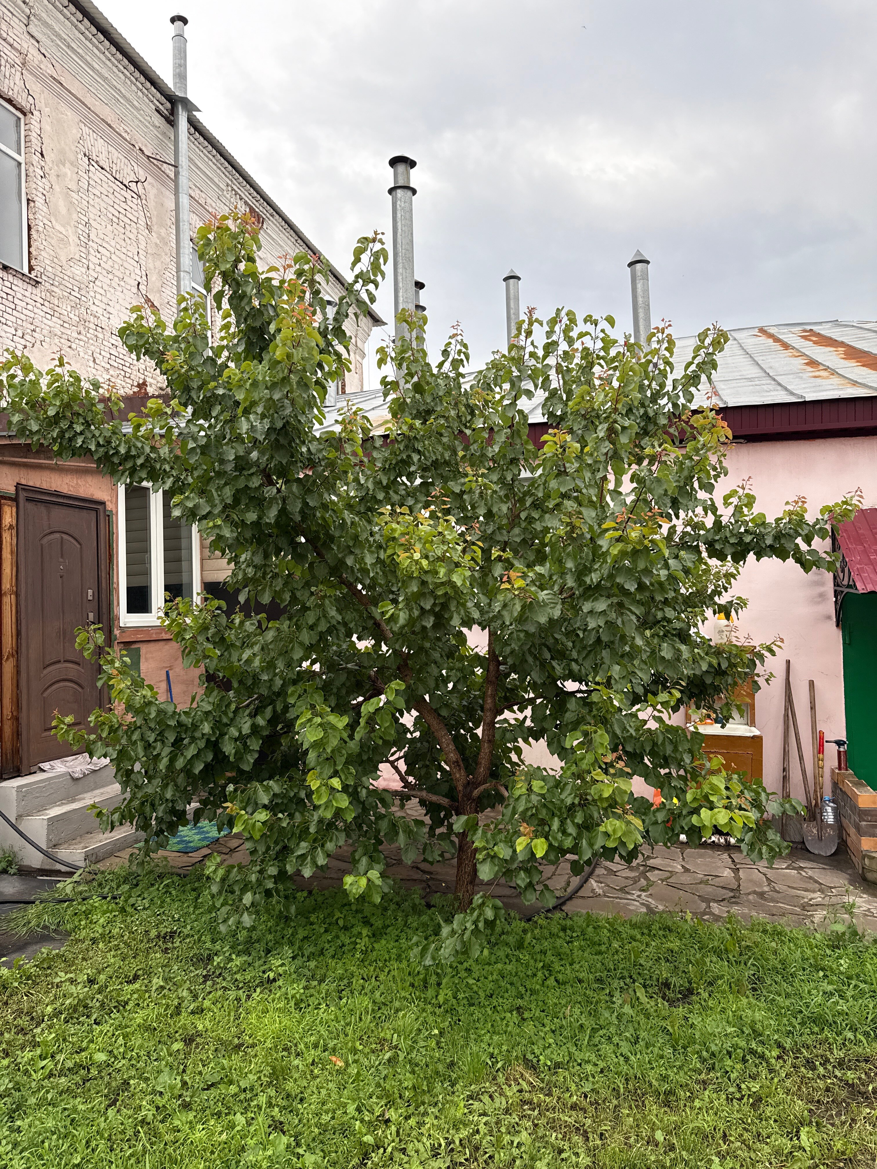 Фото Panorama Grand Berloga