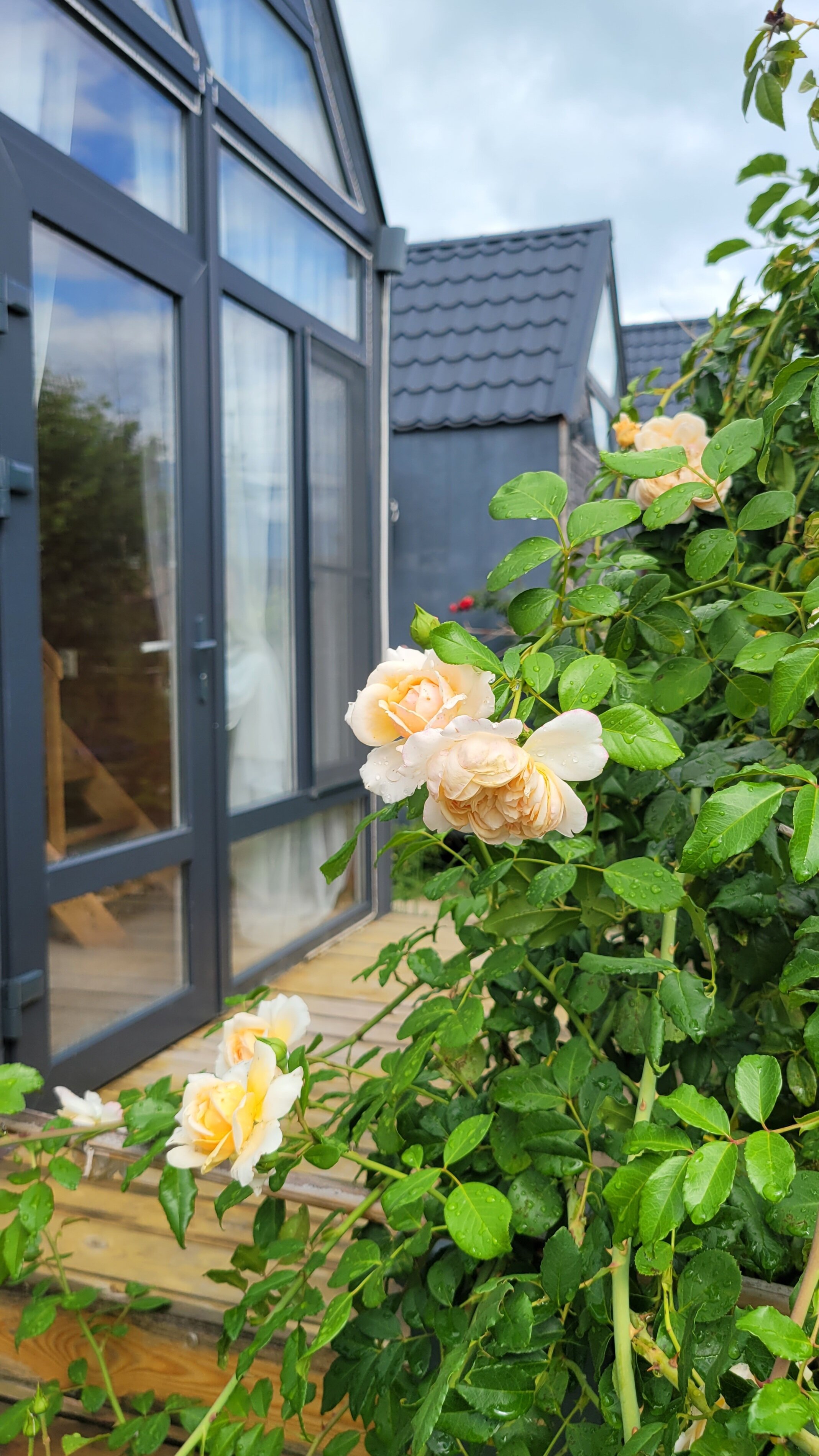 Фото Ретрит-шале Кудара