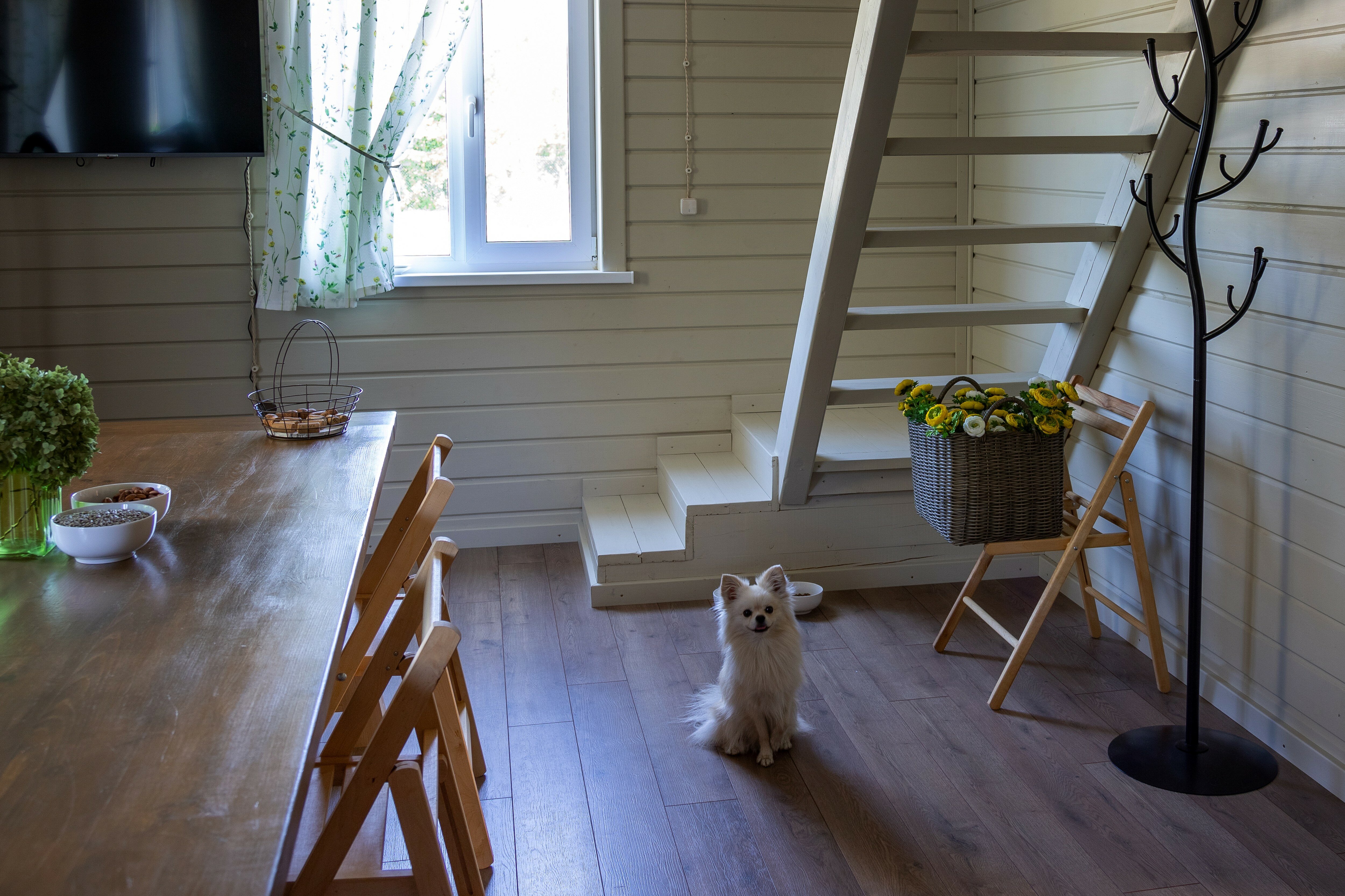 Фото Гостевой дом Лисы