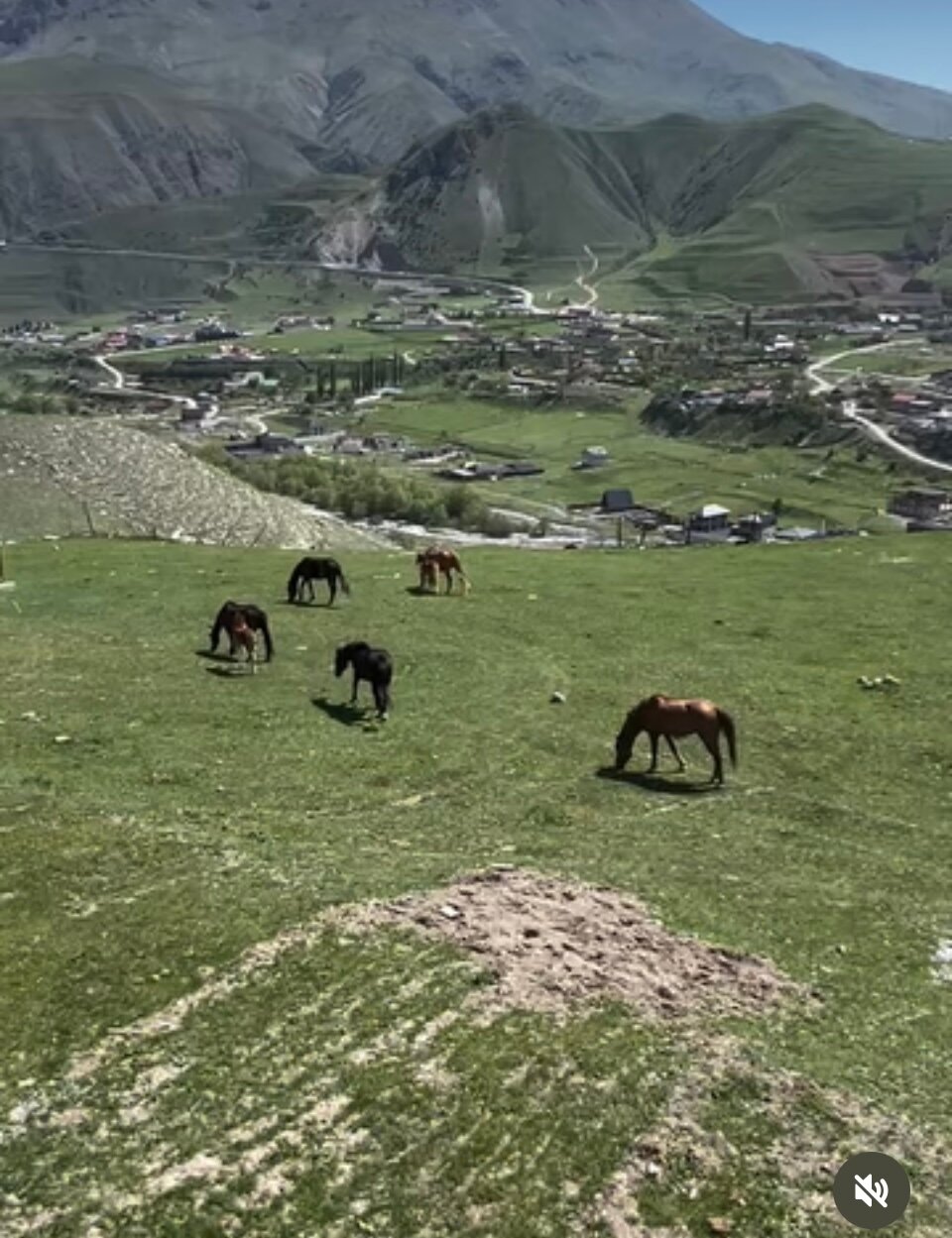 Фото Alania Home 77