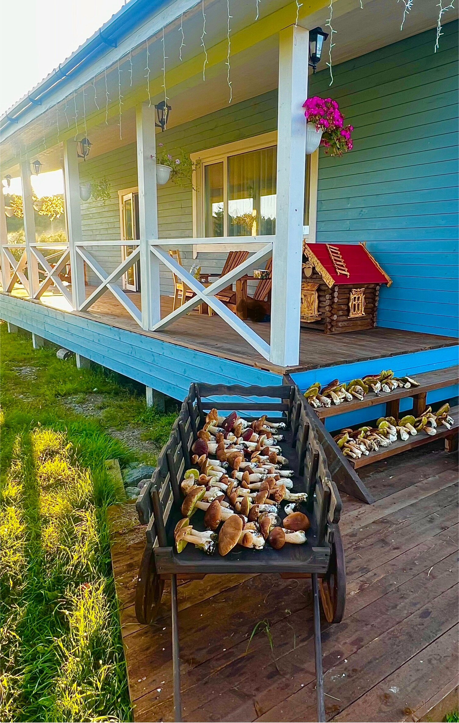 Фото Умосту