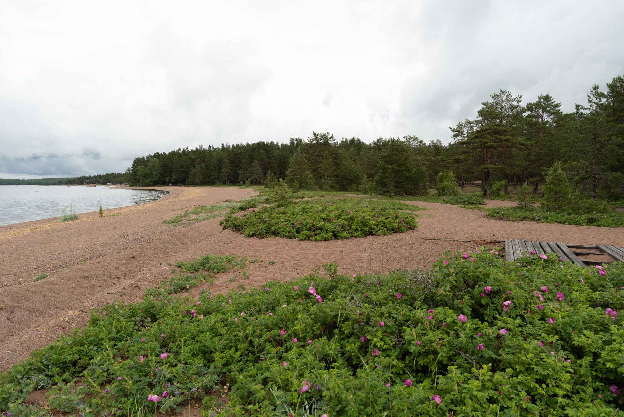 Фото Дача Мюзера