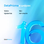 Dataprizma (Bogiravon Street, 55), it company