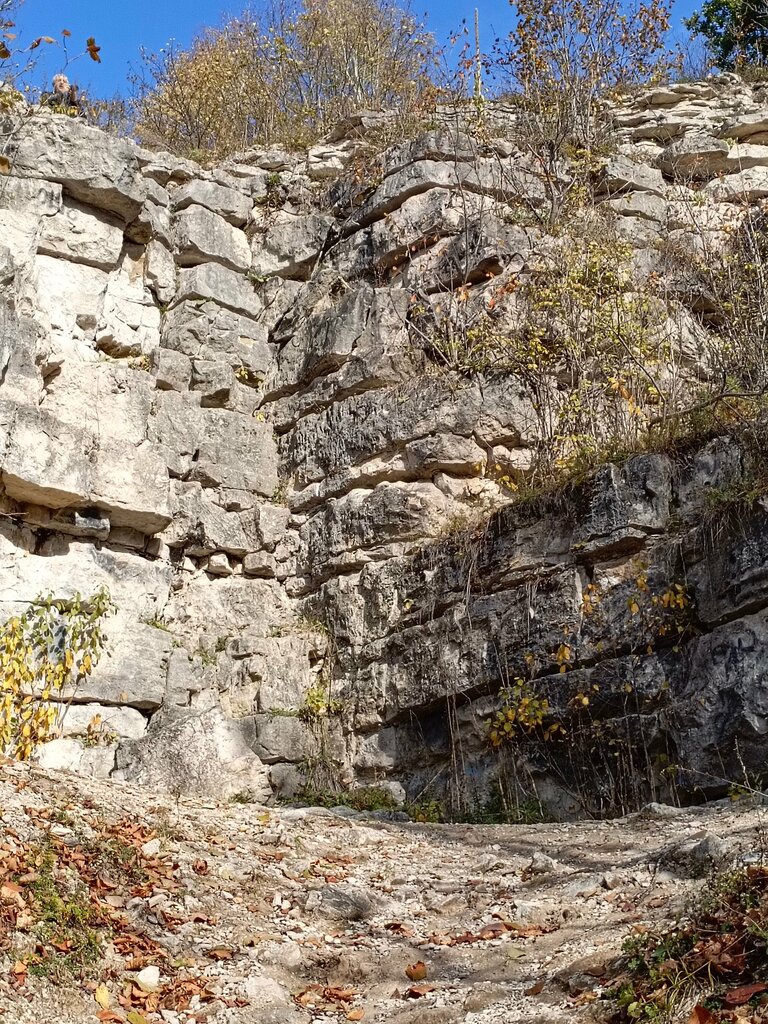 Landmark, attraction Скальные обнажения известняков в долине реки Осётр, Tula Oblast, photo