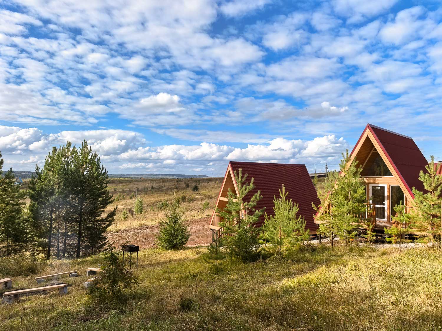 Фото Елки Иголки