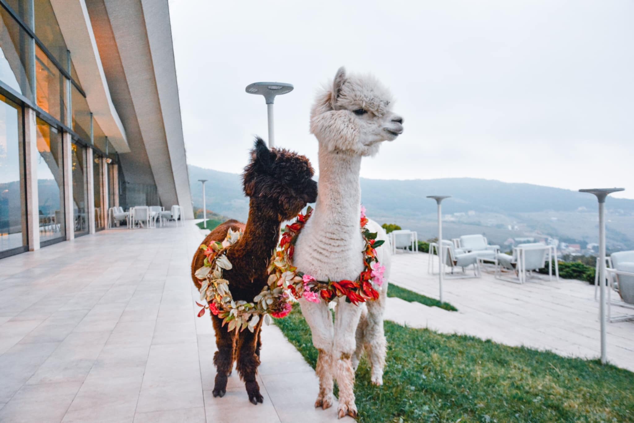 Фото Bioli Wellness Resort