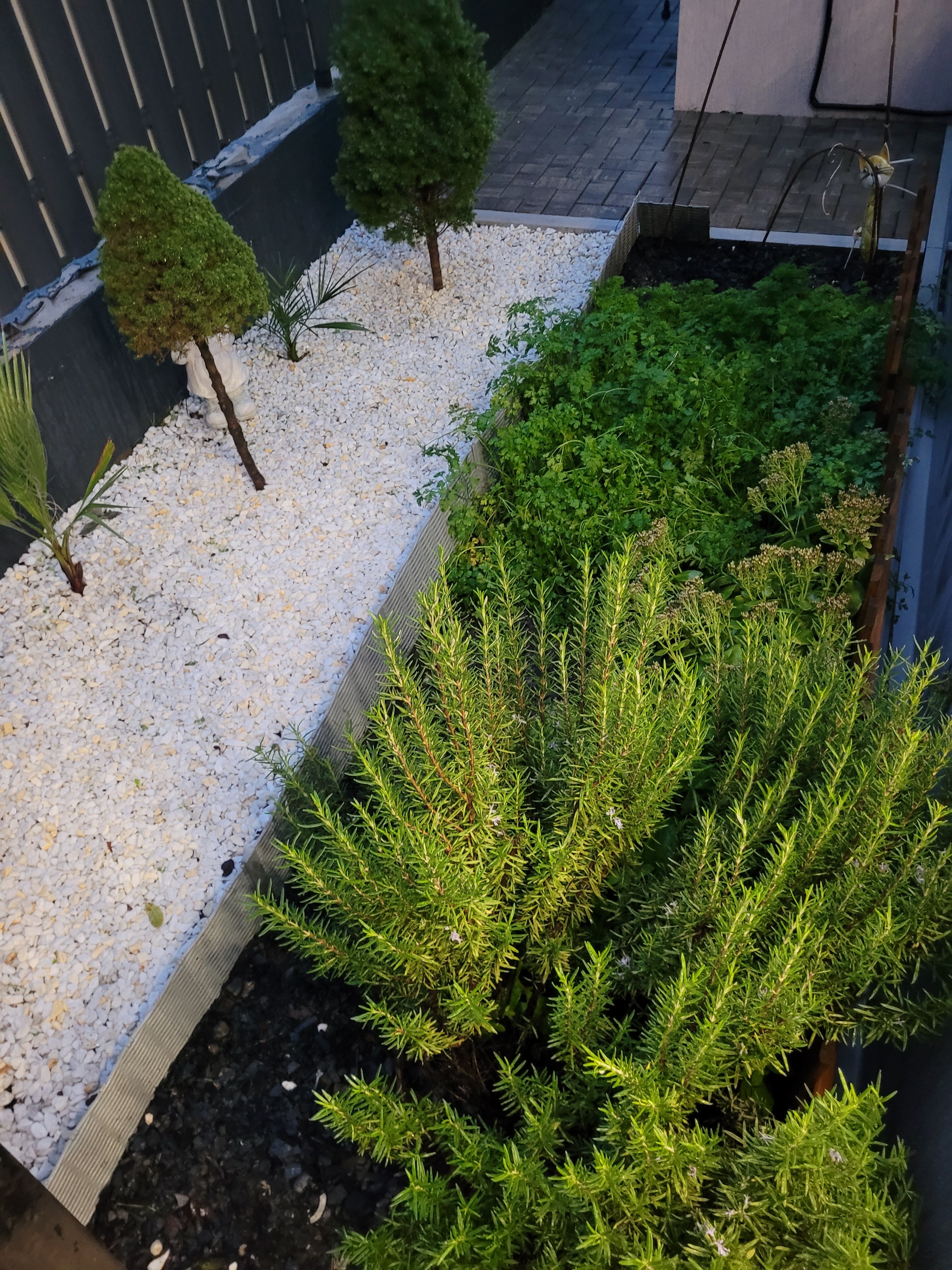 Фото Отдых на высоте