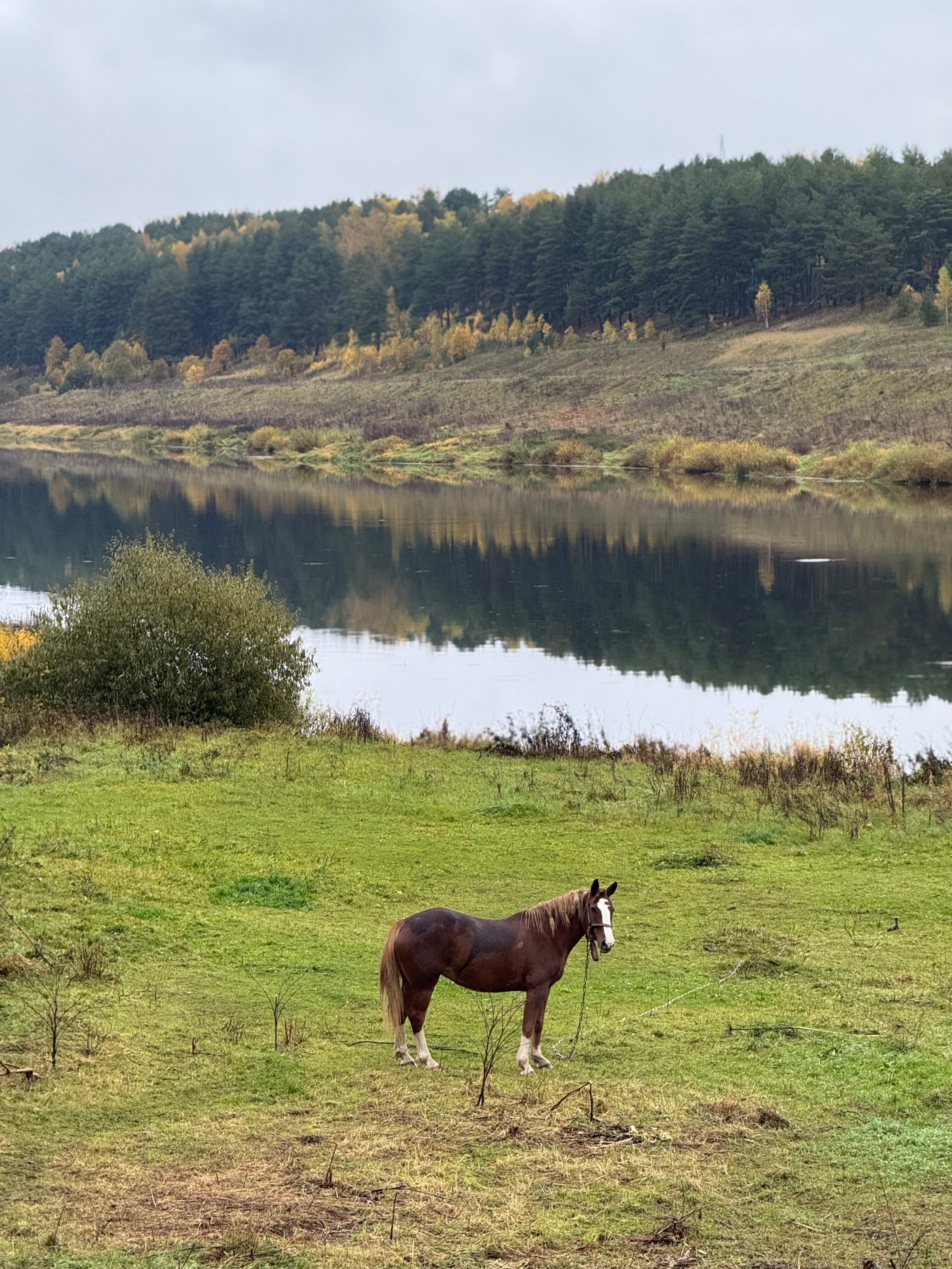 Фото Резиденция Товарищества Братьев Нобель