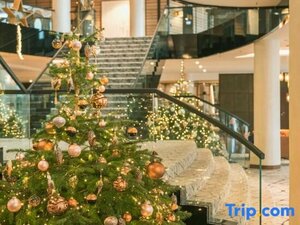 Гостиница Hyatt Regency Cologne