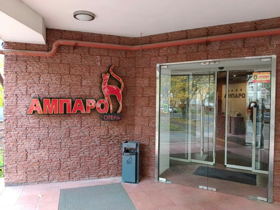 Фото Ампаро