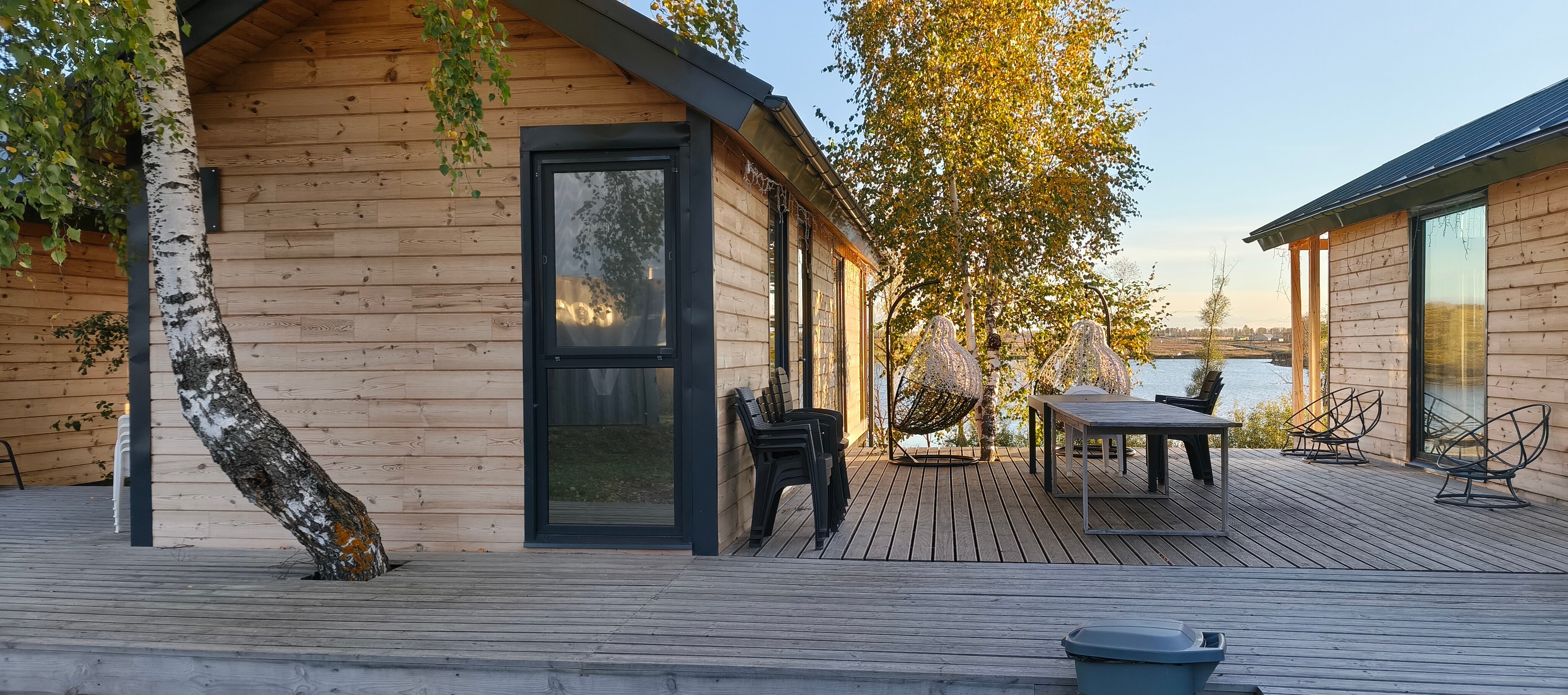 Фото Бобры и Утки