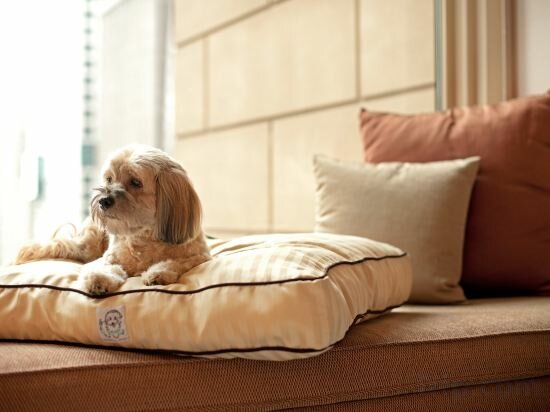 Фото Hyatt Regency Amsterdam