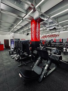 Seksi sincaplar fotosurati