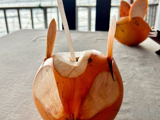 Фото We Are Surfers