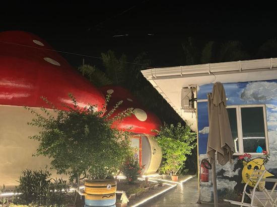 Фото Mushrooms Inn