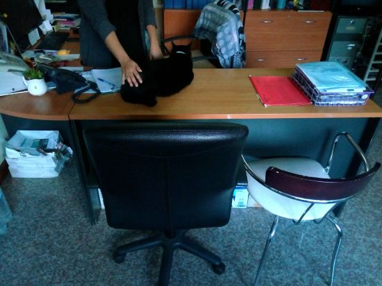 Фото Kamala Beachfront Apartment