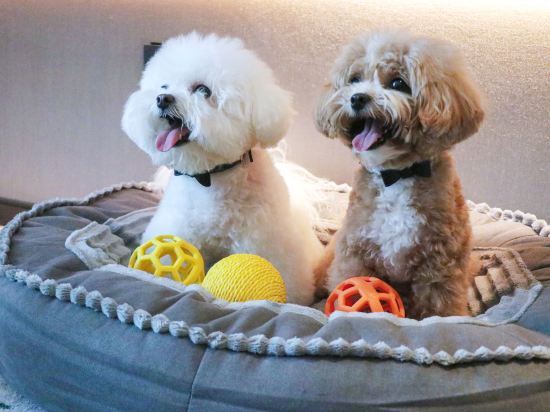 Фото Hilton Chengdu Chenghua