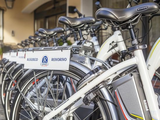 Фото Boutique-Hotel Remorino