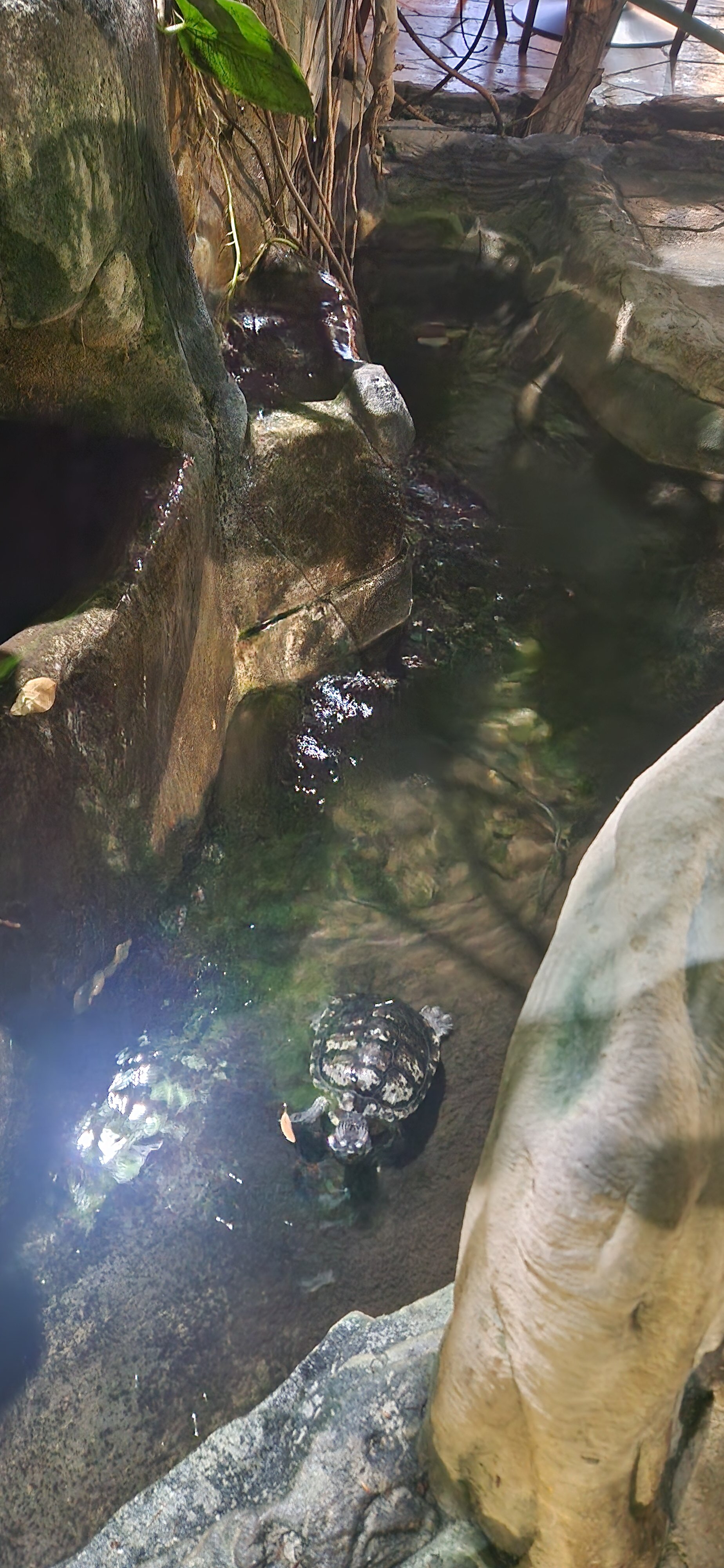 Фото Сретенская