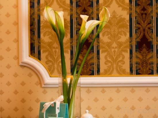 Фото Grand Hotel Adriatico