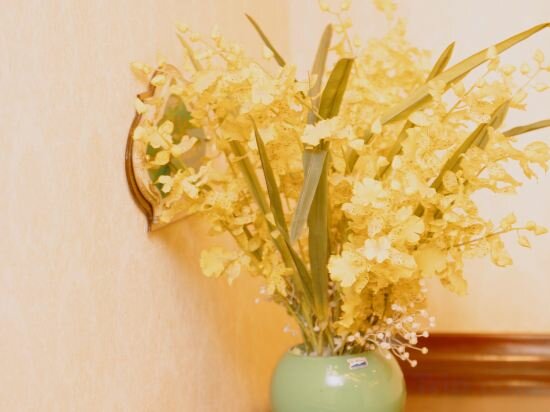 Фото Vienna Hotel Sh Wildlife Park Station