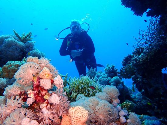 Фото Steigenberger Golf Resort El Gouna