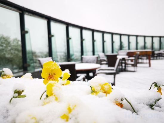 Фото Jin Jiang International Hotel Xi'an