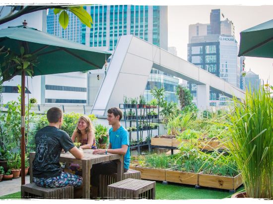 Фото Hom hostel & cooking club