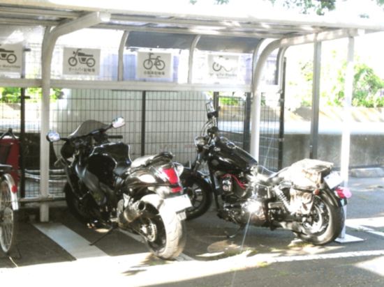 Фото Fuji Park Hotel