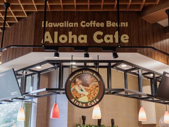 Фото SPA Resort Hawaiians Hotel Hawaiians