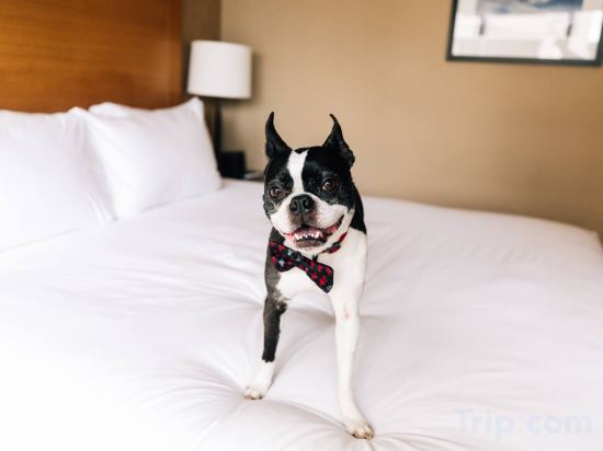 Фото Grand Hyatt Seattle