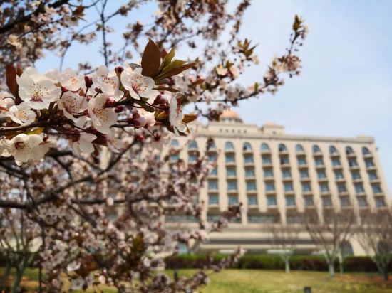 Фото Dalian International Finance Conference Center