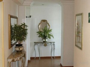 Гостиница Hotel Eliseo