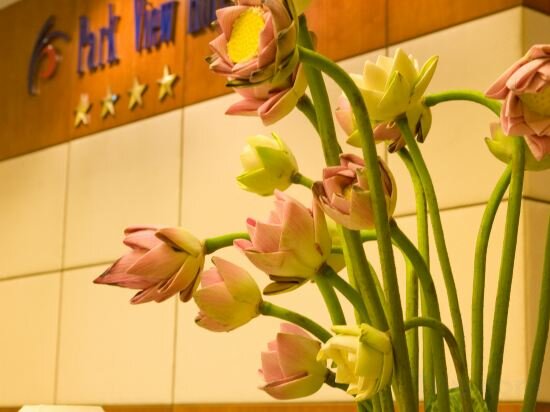 Фото ParkView Hotel