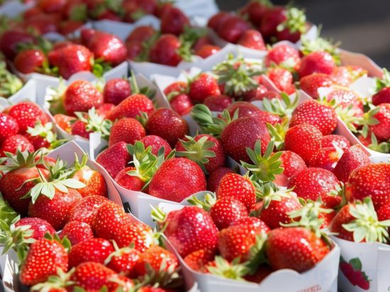 Фото Hôtel Relais Acropolis