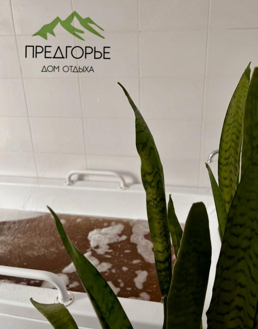 Фото Предгорье