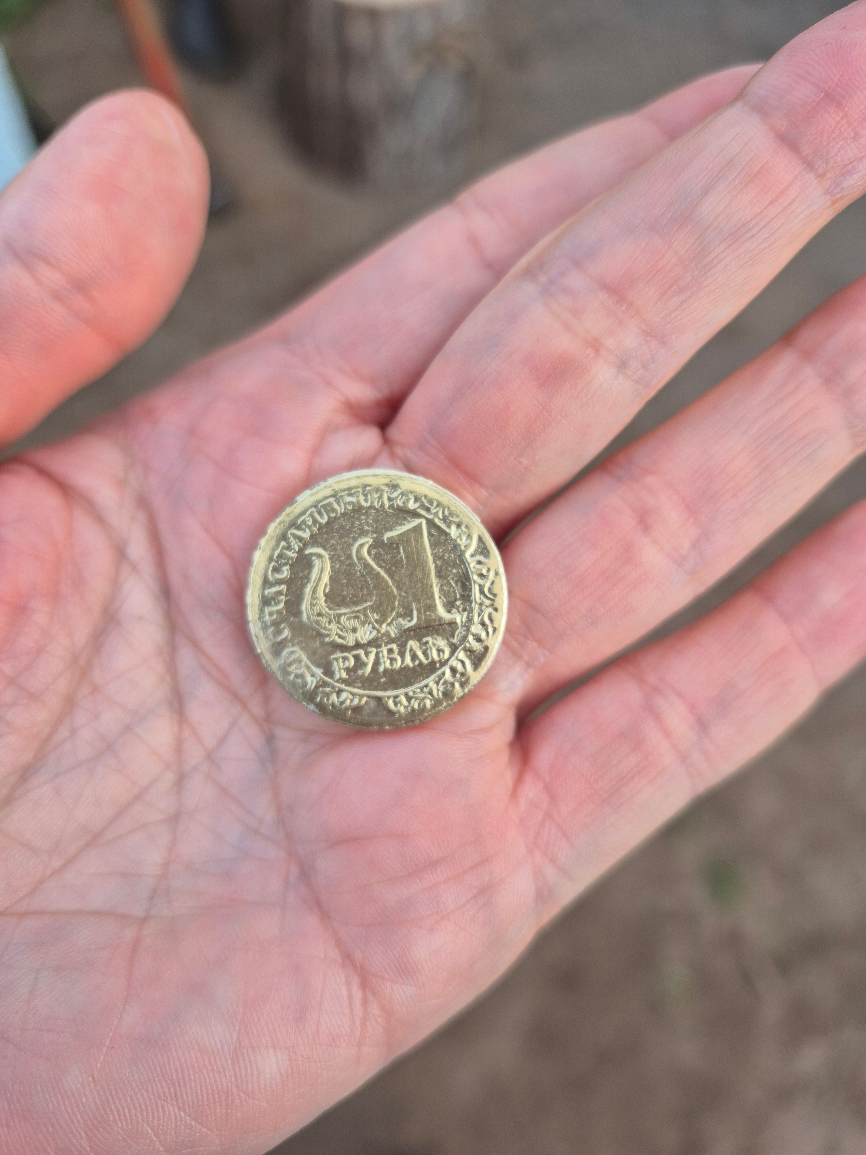 Фото Варяжская дружина