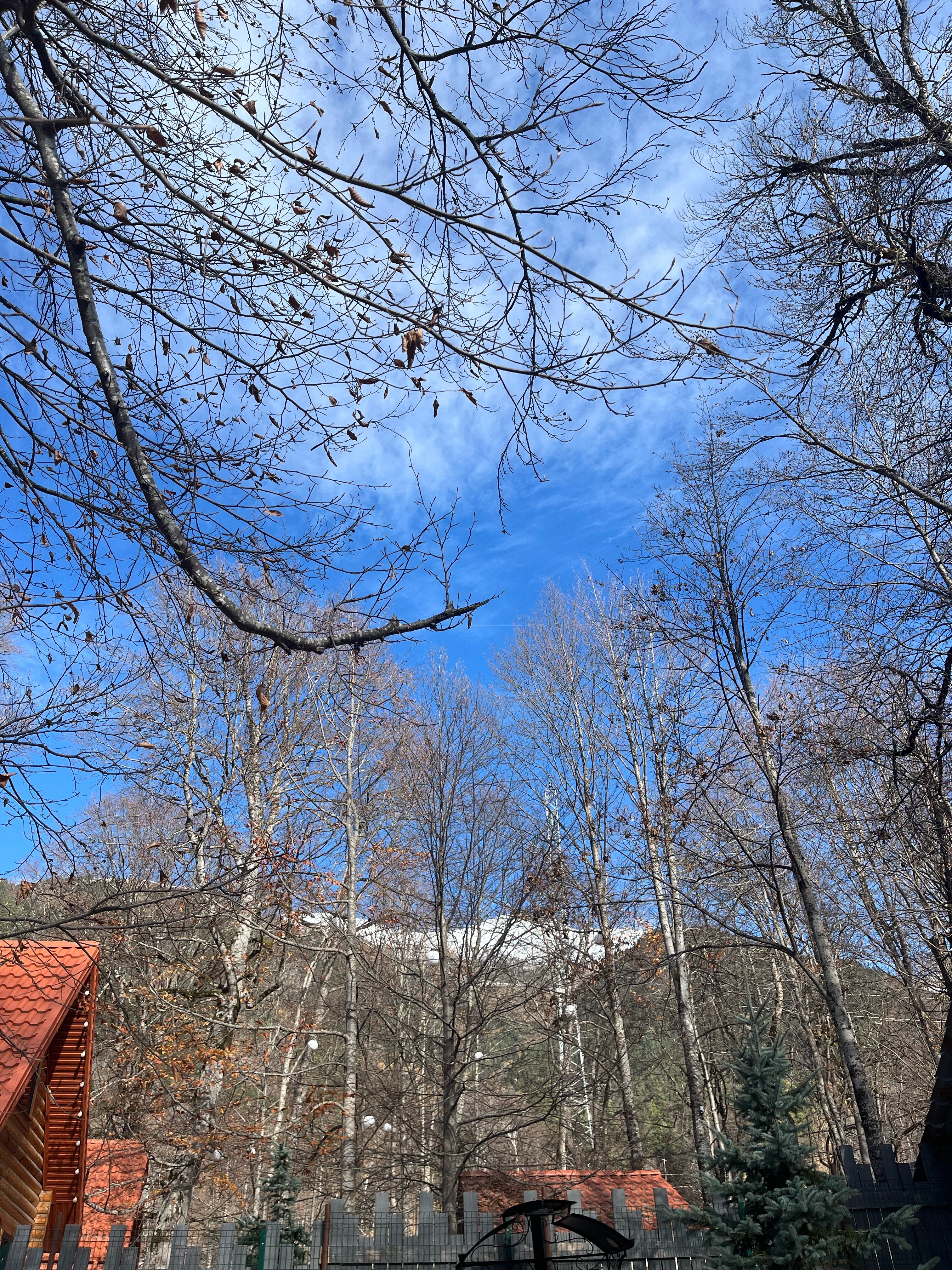 Фото Горный Relax