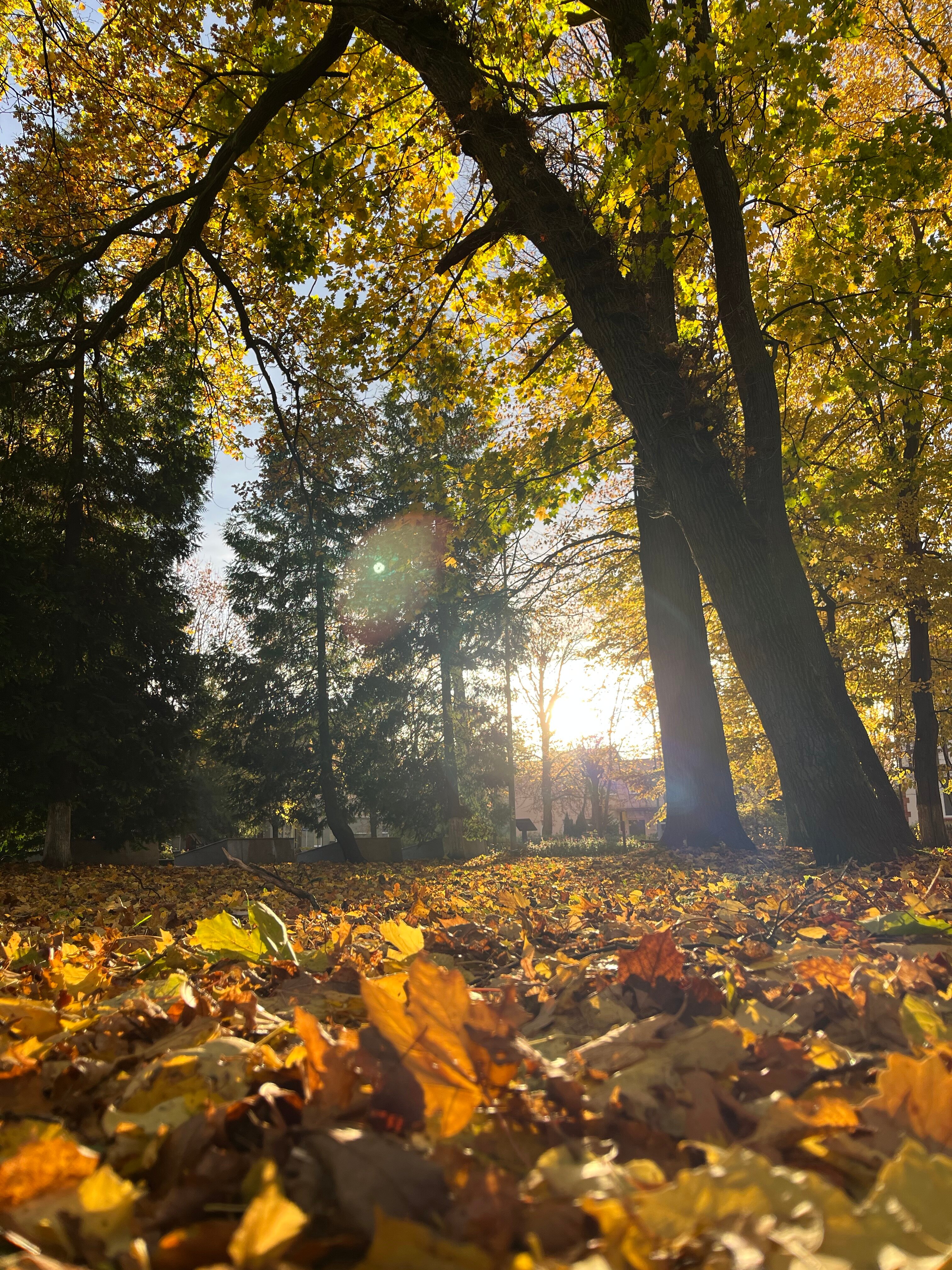 Фото Воскресенье