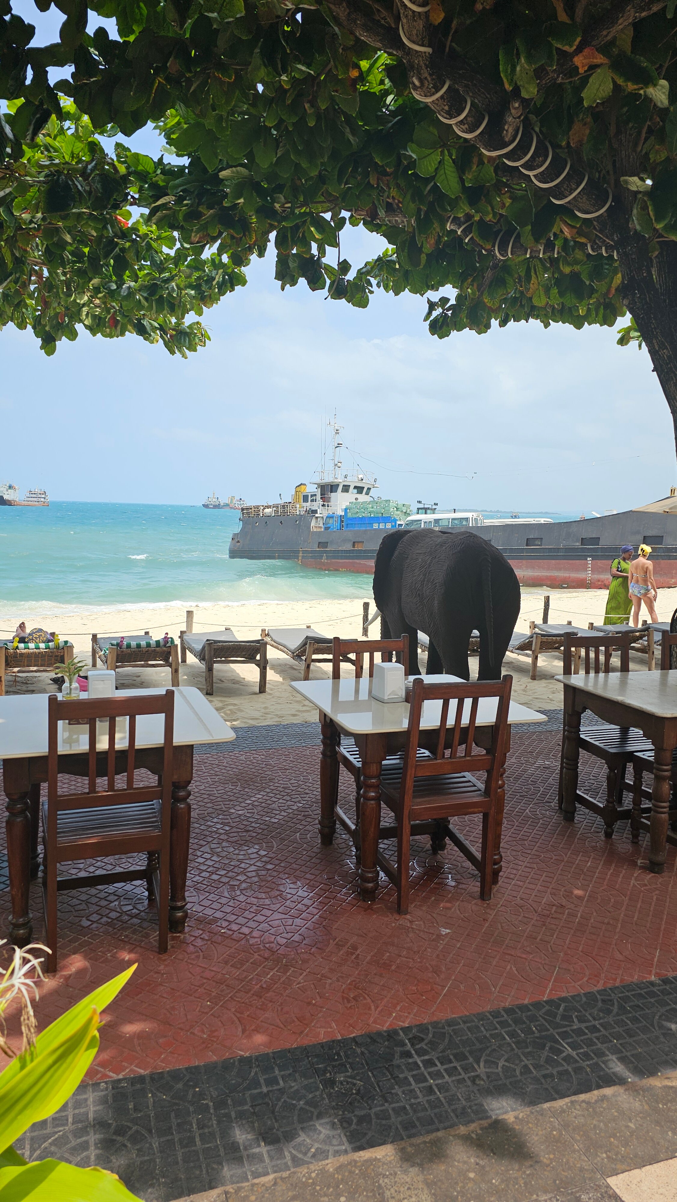 Фото Tembo Palace Hotel