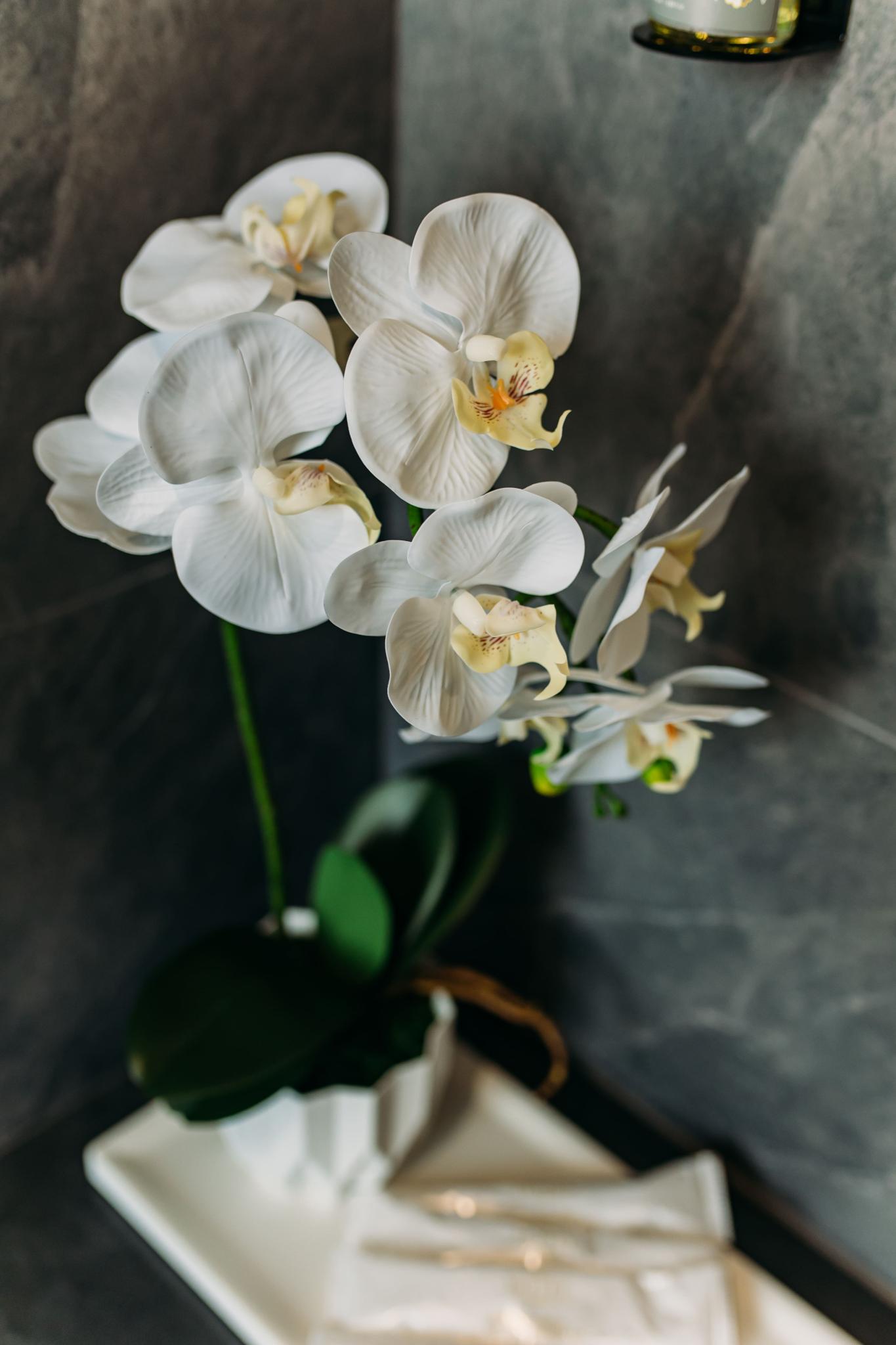 Фото Атмосфера