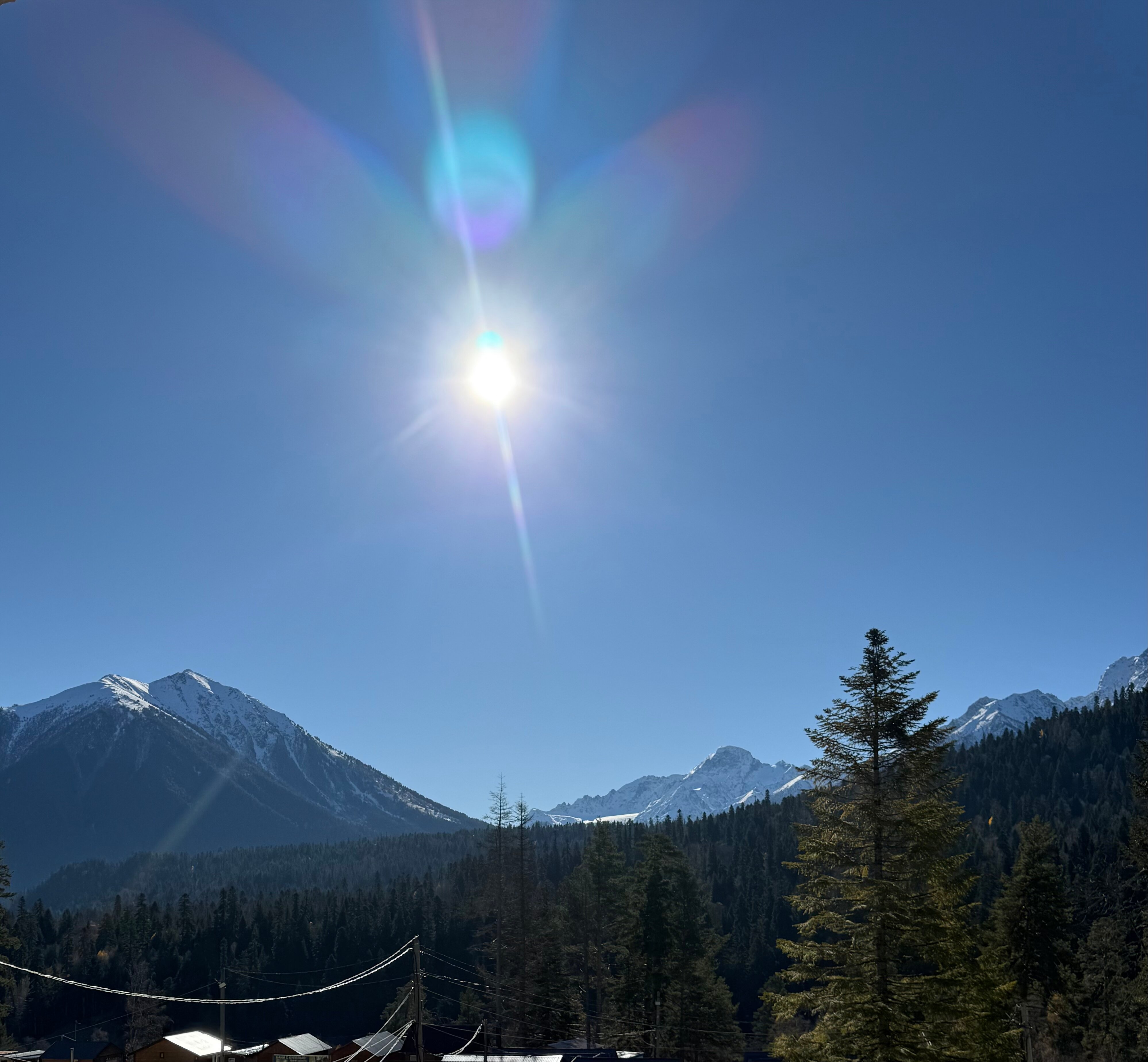 Фото Хурмет