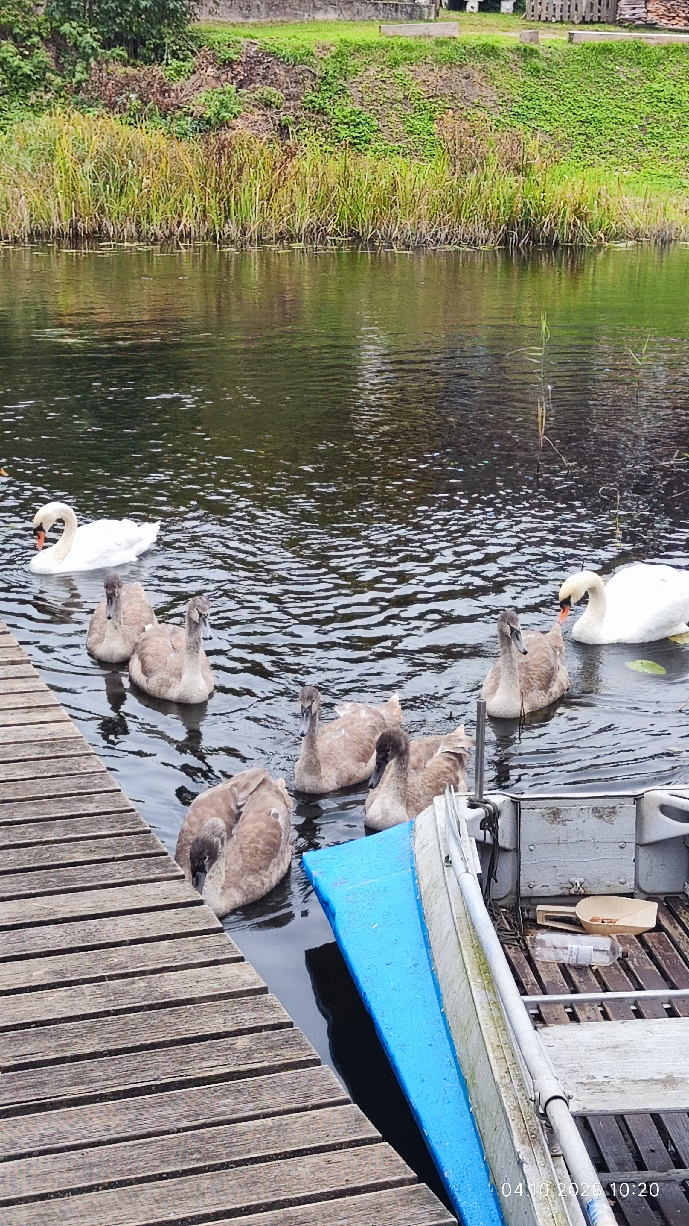 Фото Дом у реки