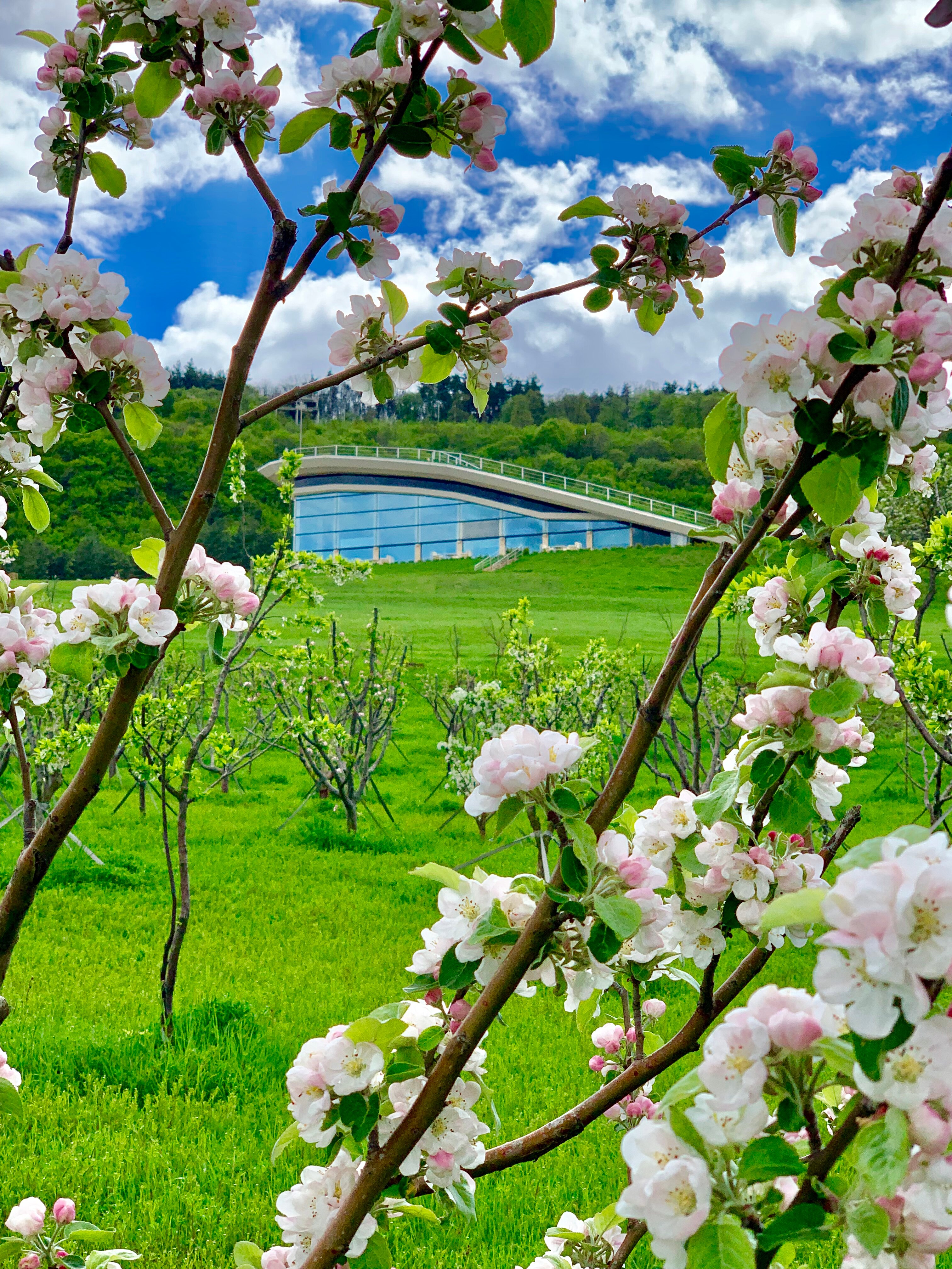 Фото Bioli Wellness Resort