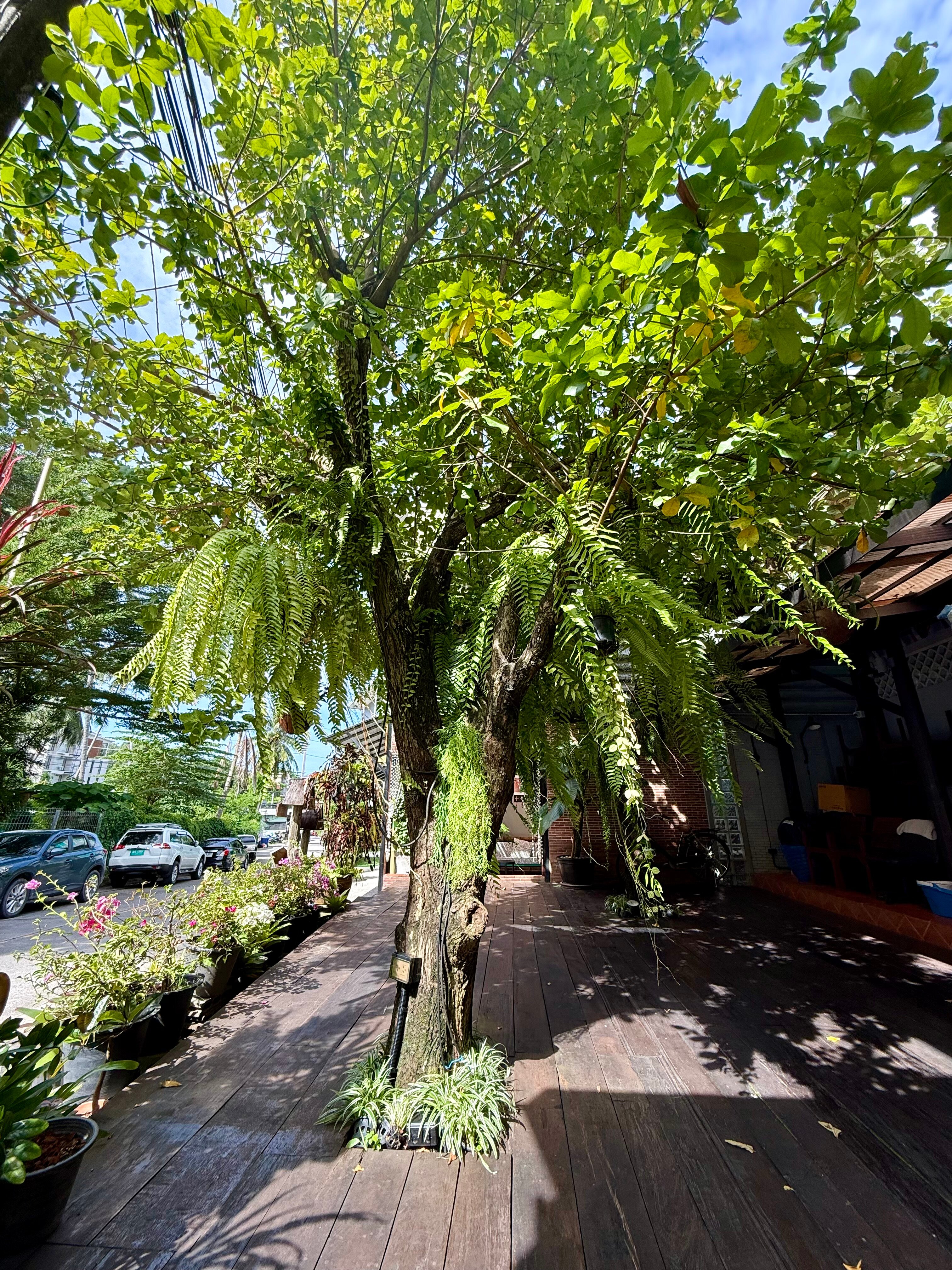 Фото Kata Tranquil Villa