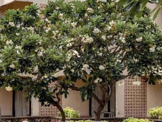 Фото Hotel Tropicana Pattaya