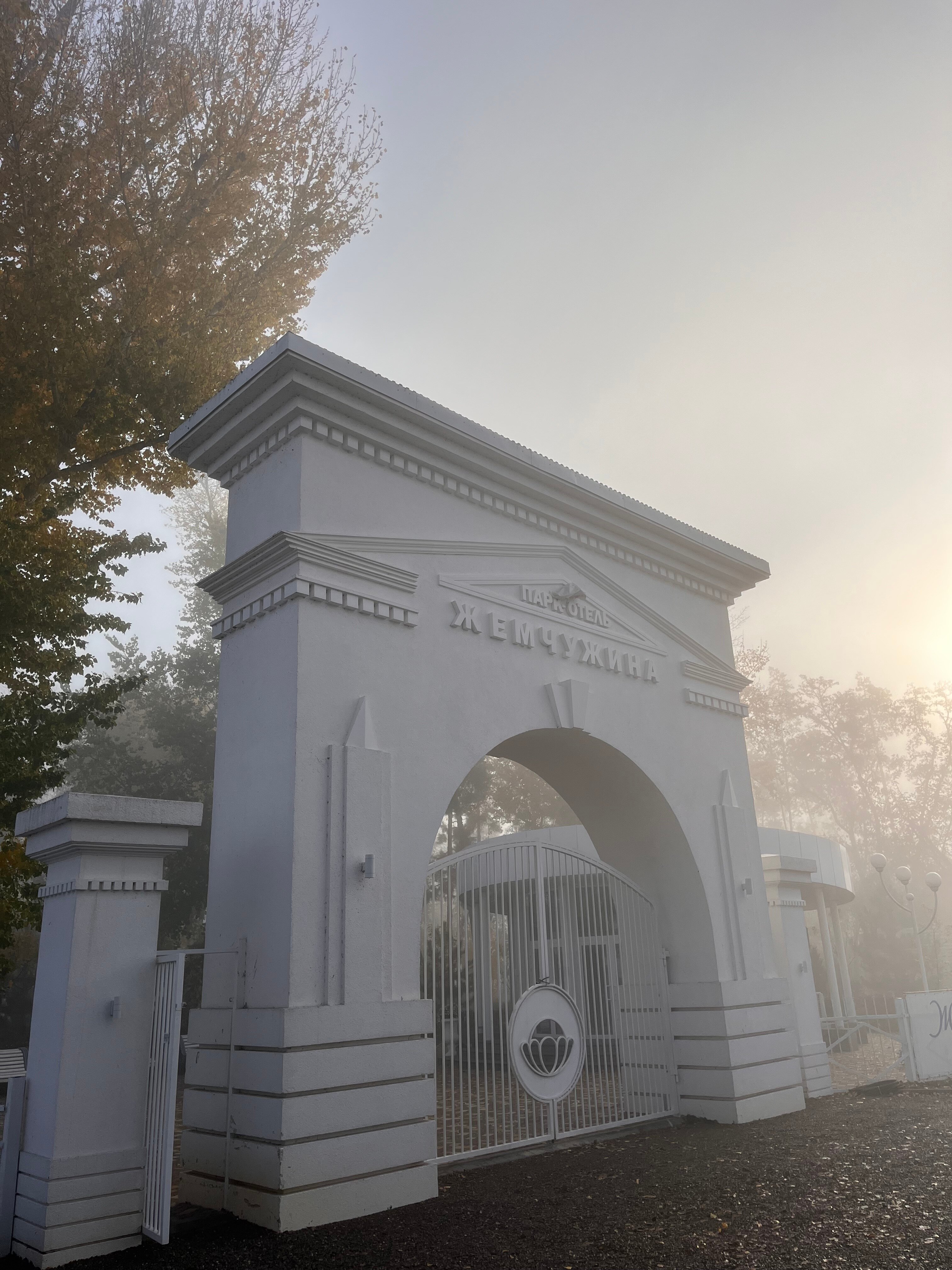 Фото Жемчужина