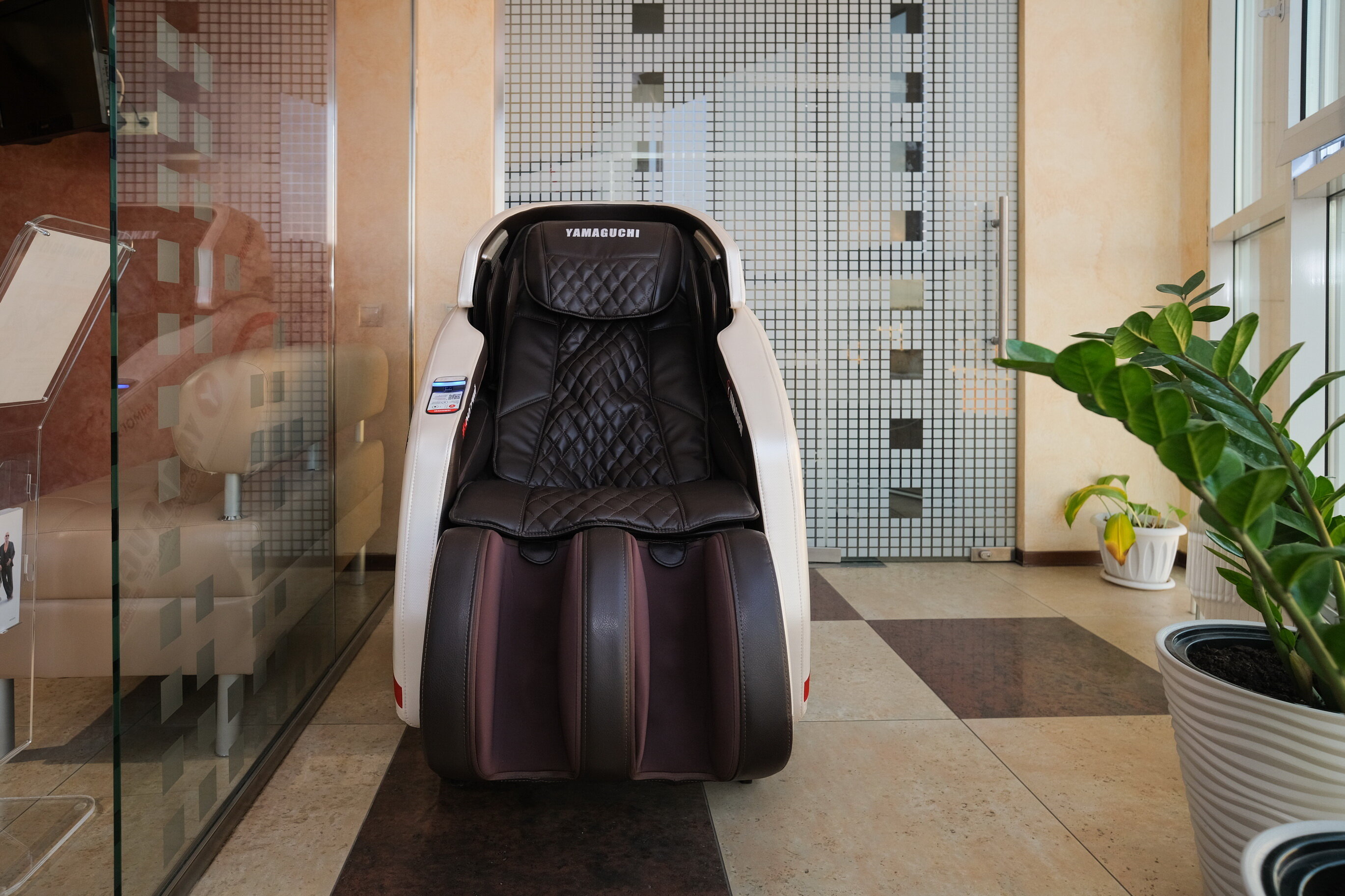 Фото Пионер Люкс