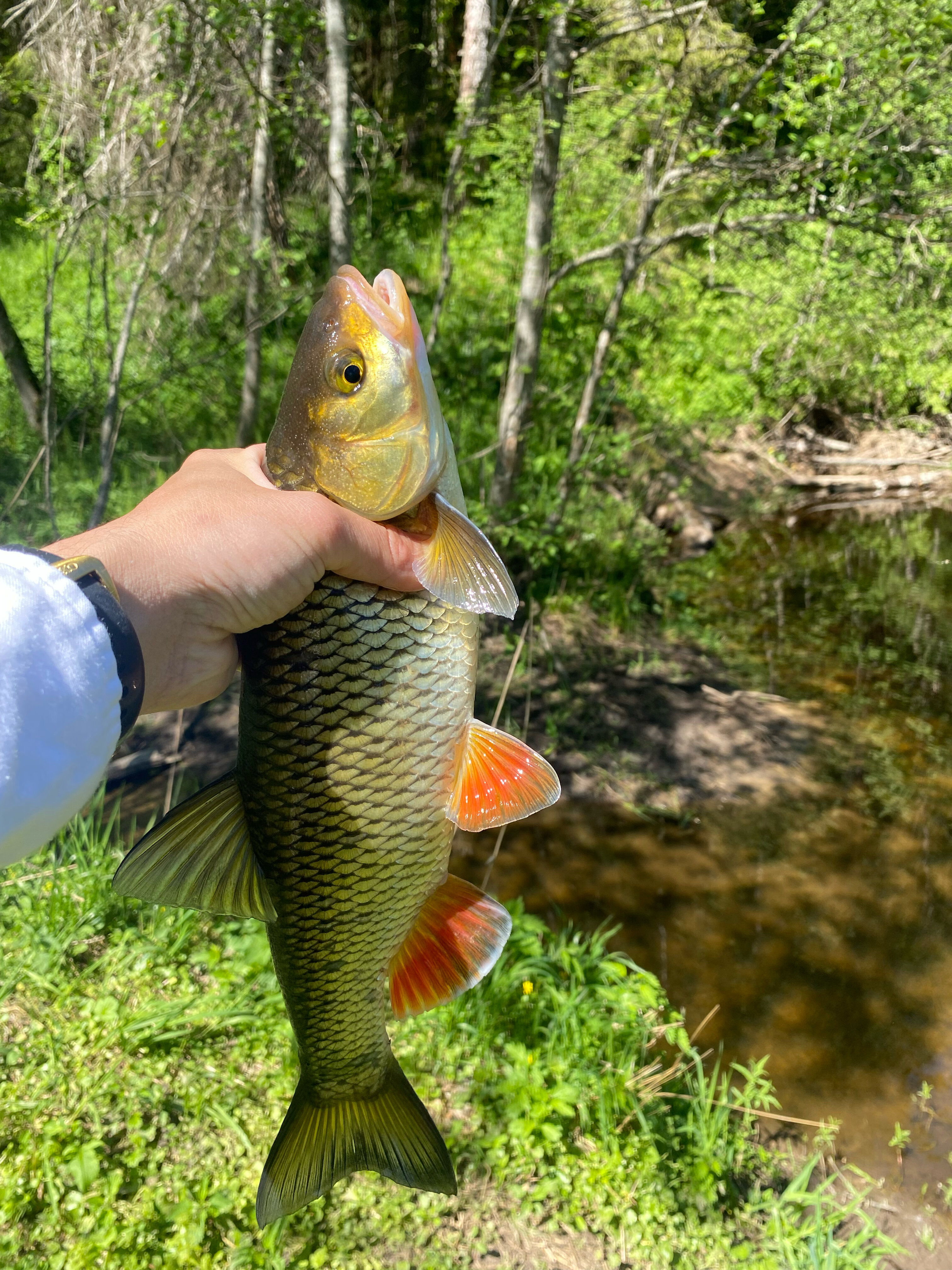Фото Никольский Стан